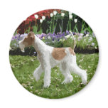 Ginger Wire Fox Terrier magnets