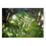Gingko and fallen leaf collage - Card