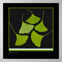 Gingko Print