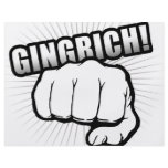 Gingrich Power flyers