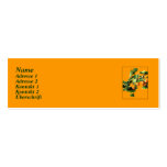 Ginkgo biloba - Business Card (slim) Visitenkartenvorlagen