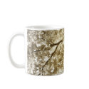 Ginkgo biloba in autumn mugs