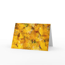 Ginkgo Biloba leaves Greeting Card