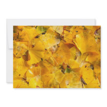 Ginkgo Biloba leaves Invites