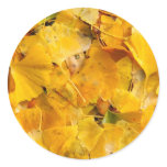 Ginkgo Biloba leaves Round Stickers