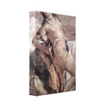 Giovanni Tiepolo - Minerva wants kill Achilles Stretched Canvas Prints