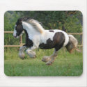 Gipsy horse mousepad