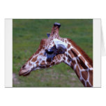 Giraffe 158 greeting card