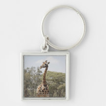 Giraffe 5 keychain