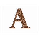 Giraffe A Postcards