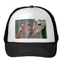 Giraffe and Baby hat