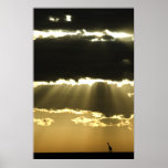 Giraffe at Sunset posters