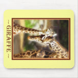 Giraffe Baby