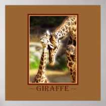 Giraffe Baby Poster