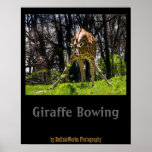 Giraffe Bowing posters