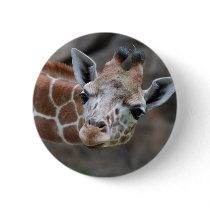 Giraffe  Button