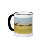 Giraffe calendars coffee mugs & cups