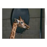 Giraffe card