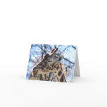 Giraffe Cards
