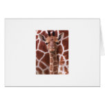 Giraffe Greeting Card