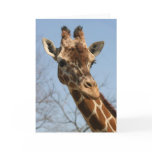 Giraffe Card