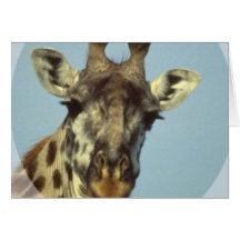Giraffe Design  Greeting Card