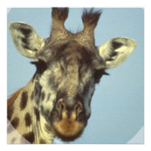 Giraffe Design Invitations