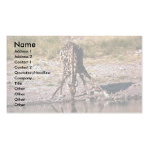 Giraffe - Drinking Business Card
