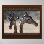 Giraffe Duo Canvas Print