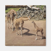 Giraffe Family Fridge Magnets