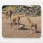 Giraffe Family mousepads