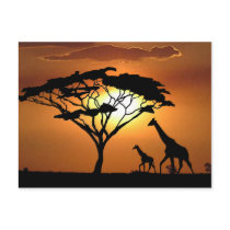 giraffe family post card
