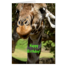 Giraffe, Happy Birthday! Card