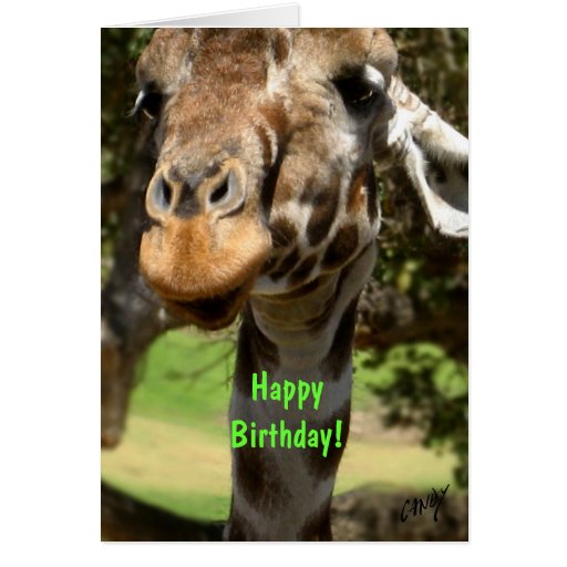 Giraffe, Happy Birthday! Card