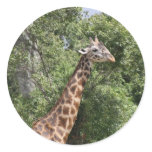 giraffe head stickers