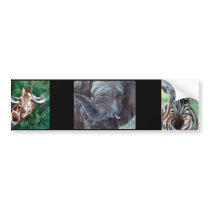 Giraffe I'm Up Here Bumper Sticker