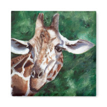 Giraffe I'm Up Here Magnet