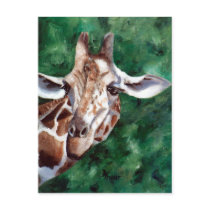 Giraffe I'm Up Here Postcard