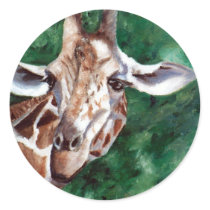 Giraffe I'm Up Here Sticker