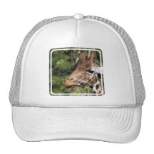 Giraffe Images Baseball Hat