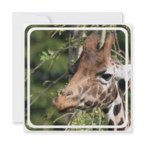 Giraffe Images Invitation