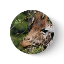 Giraffe Images Round Button