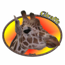 Giraffe in oval photo sculpture