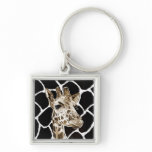 giraffe keychains