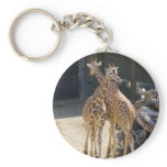 Giraffe keychains