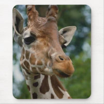 Giraffe Lovers Art Gifts Mouse Pad