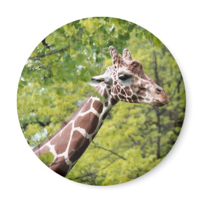 Giraffe Magnet by Captain_Panama