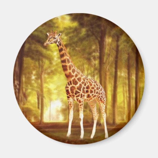 Giraffe Magnets