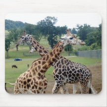 giraffe mat mousepad