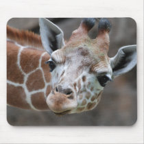 Giraffe  Mouse Pad